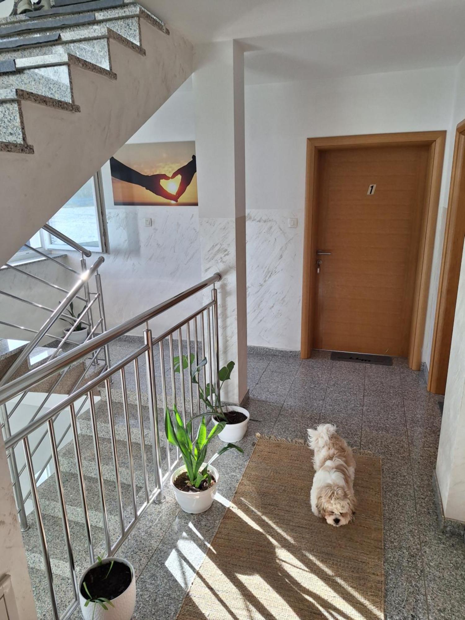 Hotel Sobe Sky Fužine Zewnętrze zdjęcie